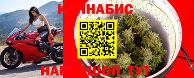стаф Бугуруслан